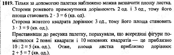 Вправа 1019