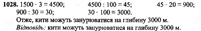 Вправа 1028