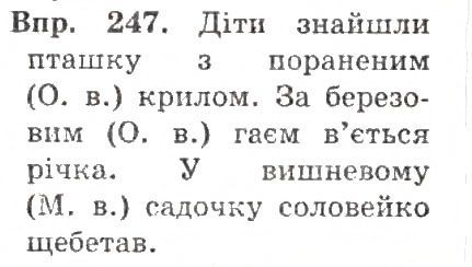 Вправа 244