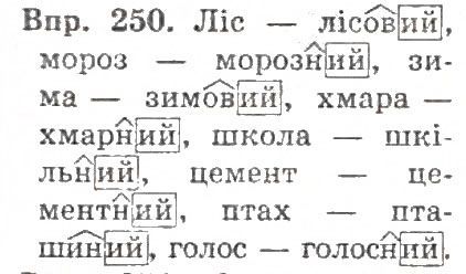 Вправа 248