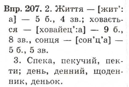 Вправа 204