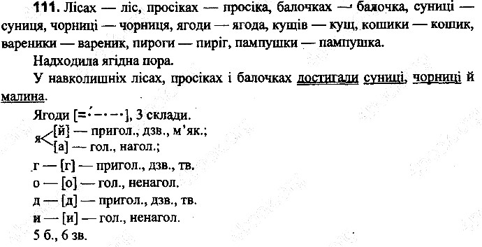 Вправа 111
