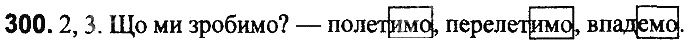 Вправа 300