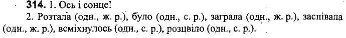 Вправа 314