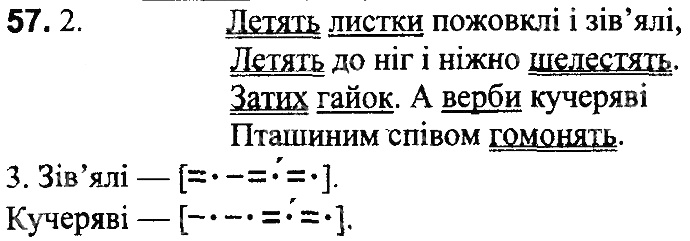 Вправа 57