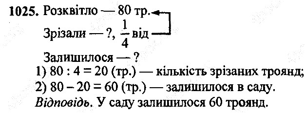 Вправа 1025