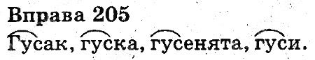 Вправа 205
