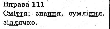 Вправа 111