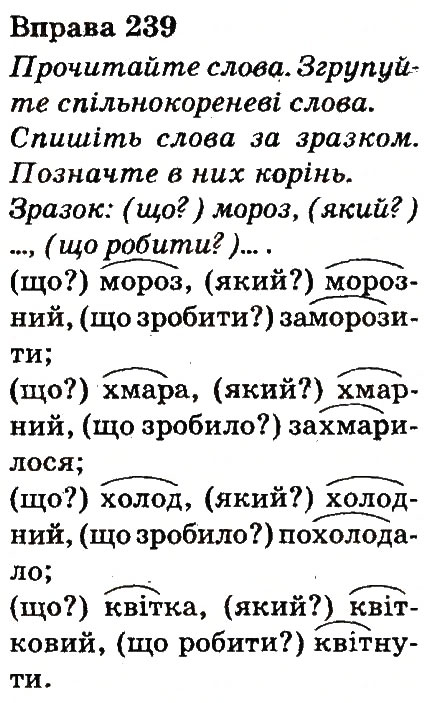 Вправа 239
