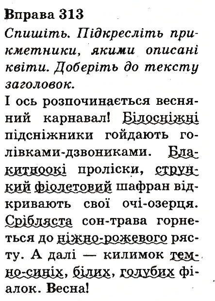 Вправа 313
