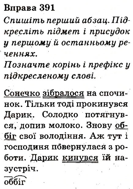 Вправа 391