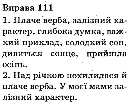 Вправа 111