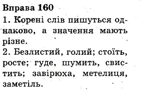 Вправа 160