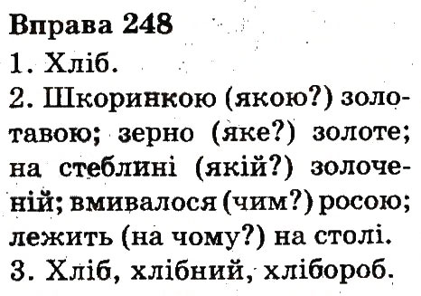 Вправа 248