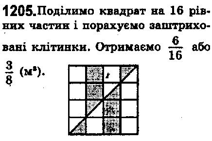 Вправа 1205 математика 5 клас Мерзляк 2018