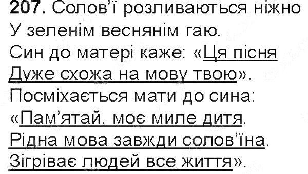 Вправа 207 українська мова 5 клас Глазова 2013