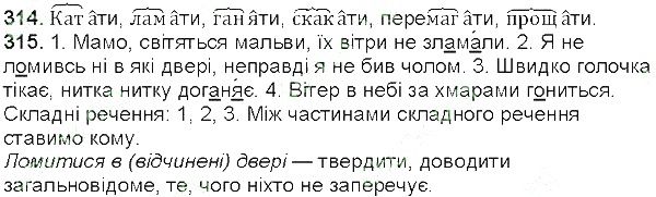 Вправа 314-315 українська мова 5 клас Глазова 2013