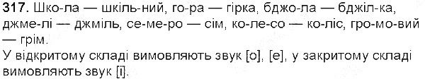 Вправа 317 українська мова 5 клас Глазова 2013