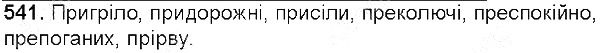 Вправа 541 українська мова 5 клас Єрмоленко Сичова 2013