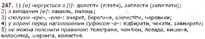 Вправа 247 українська мова 5 клас Заболотний 2018