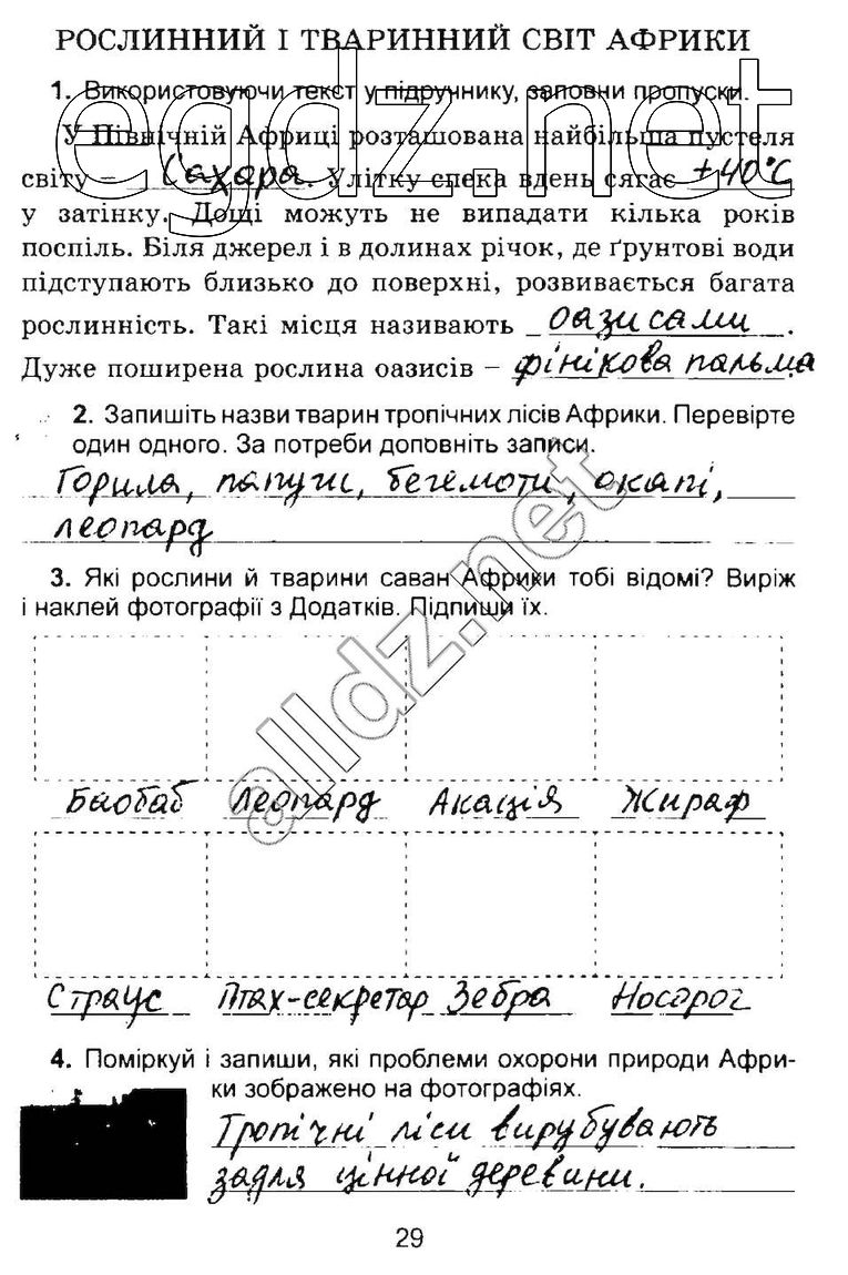 Сторінка 29 природознавство 4 клас Гільберг 2015
