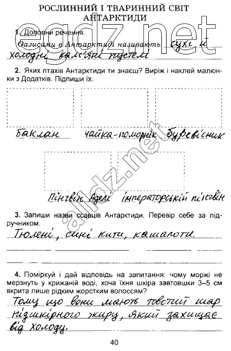 Сторінка 40 природознавство 4 клас Гільберг 2015