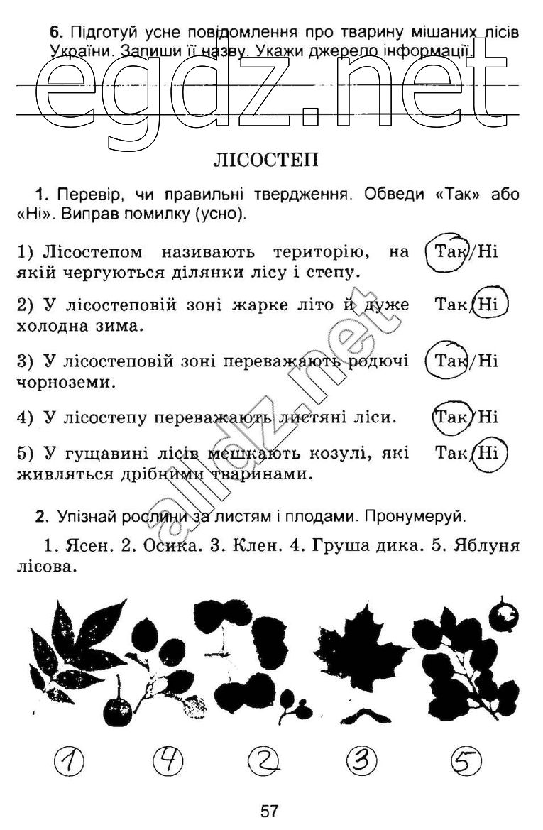 Сторінка 57 природознавство 4 клас Гільберг 2015