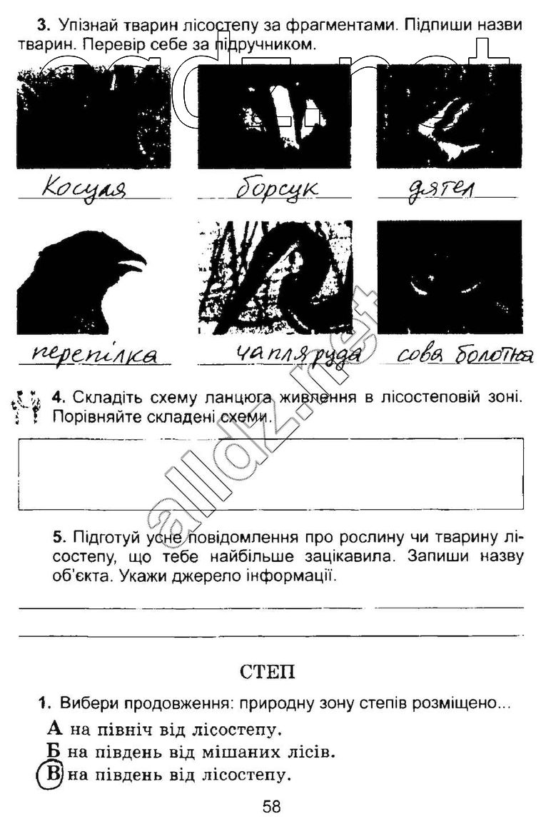 Сторінка 58 природознавство 4 клас Гільберг 2015