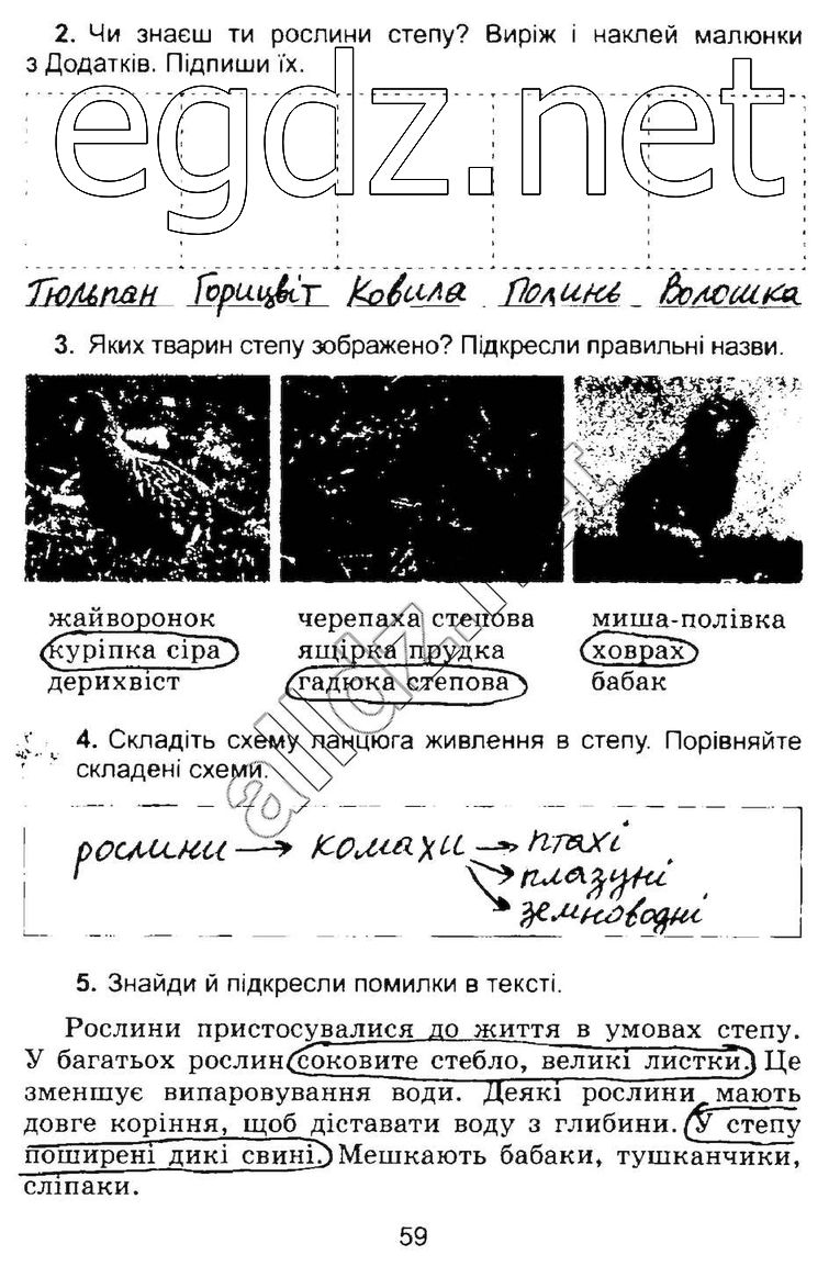 Сторінка 59 природознавство 4 клас Гільберг 2015