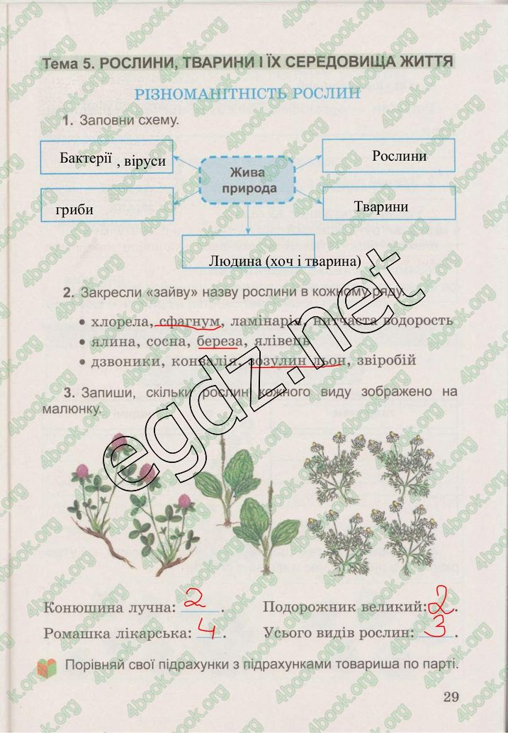 Сторінка 29 природознавство 3 клас Гільберг 2015