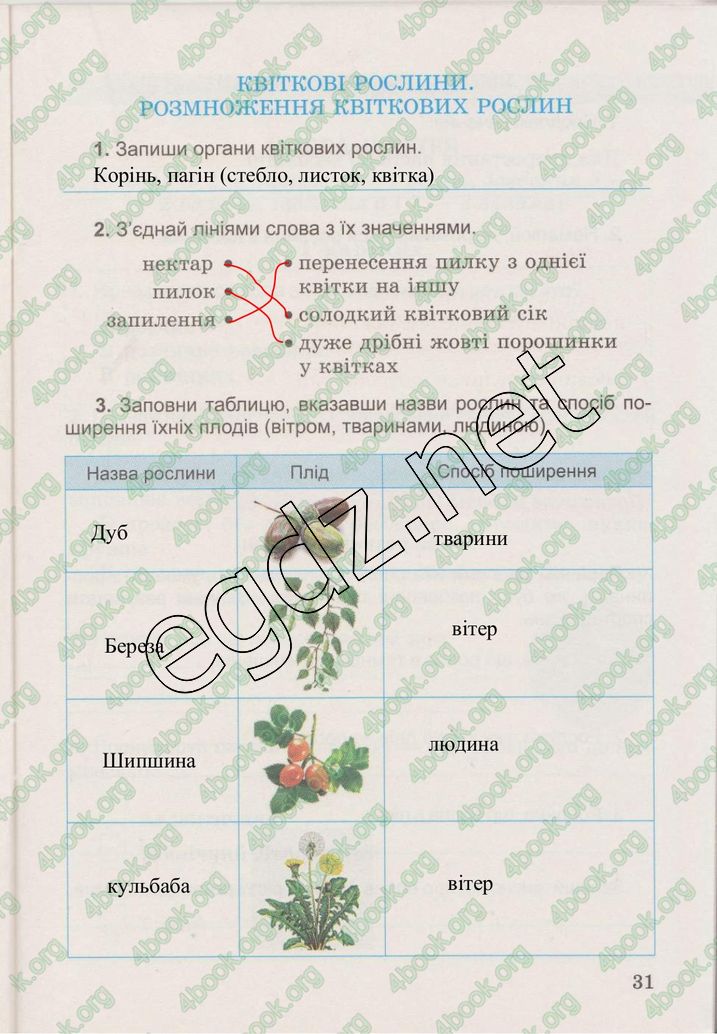 Сторінка 31 природознавство 3 клас Гільберг 2015