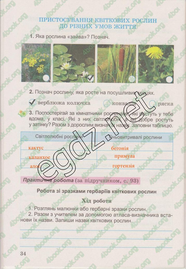 Сторінка 34 природознавство 3 клас Гільберг 2015