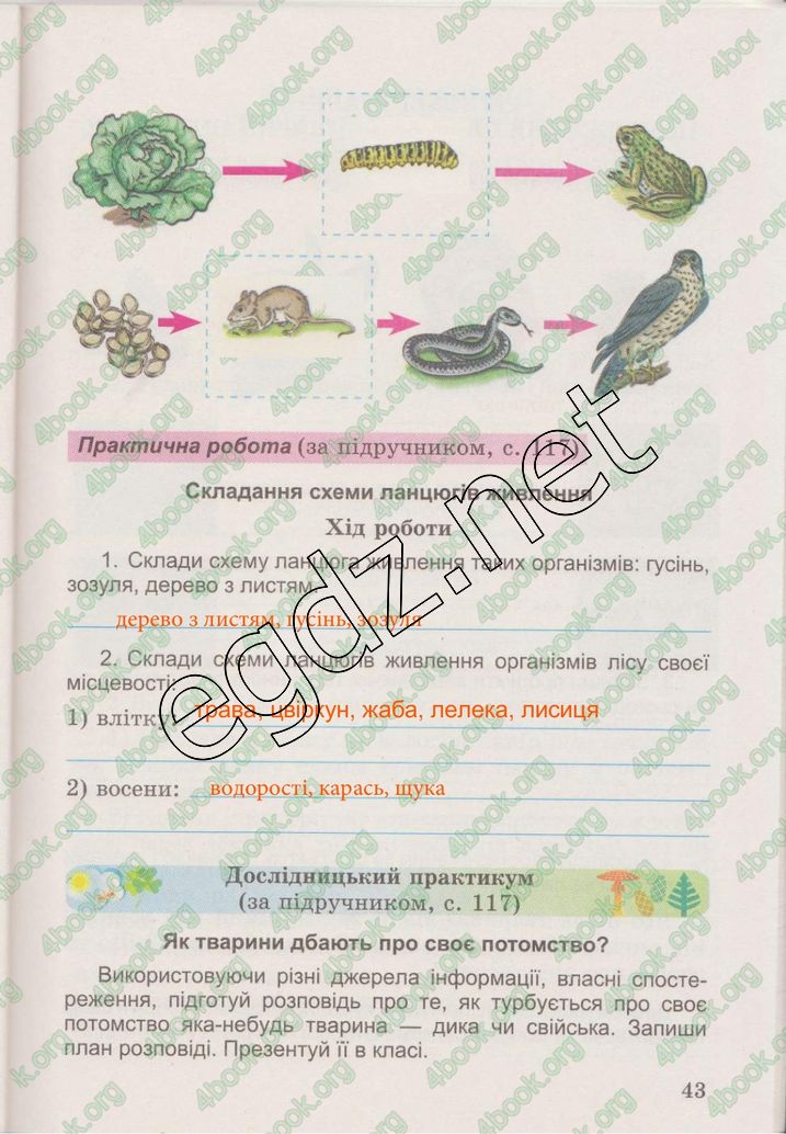 Сторінка 43 природознавство 3 клас Гільберг 2015
