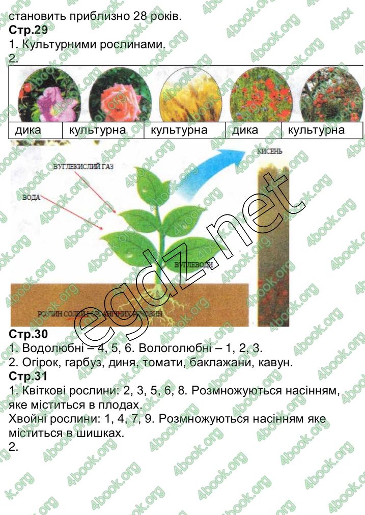 Сторінка 12 природознавство 3 клас Грущинська 2013