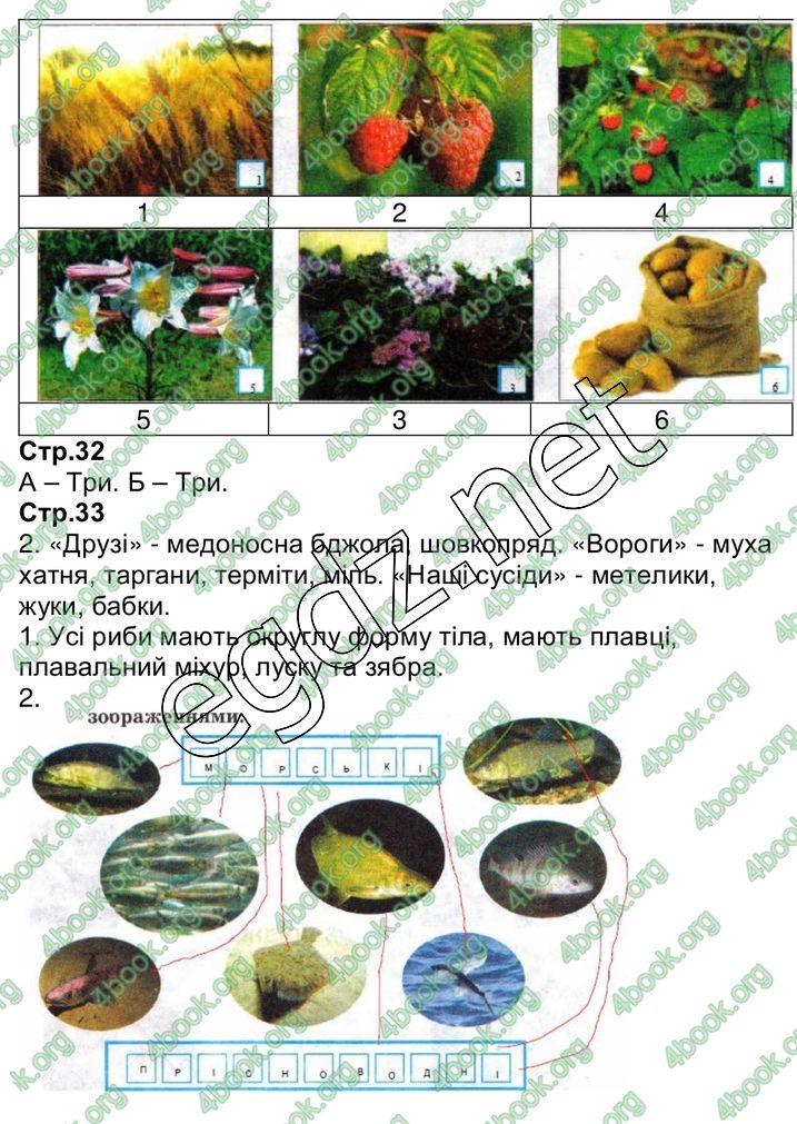 Сторінка 13 природознавство 3 клас Грущинська 2013