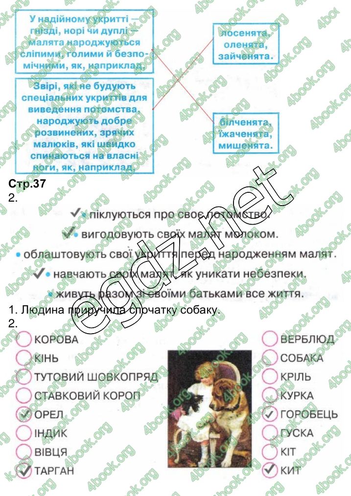 Сторінка 15 природознавство 3 клас Грущинська 2013