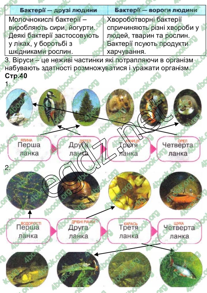 Сторінка 17 природознавство 3 клас Грущинська 2013