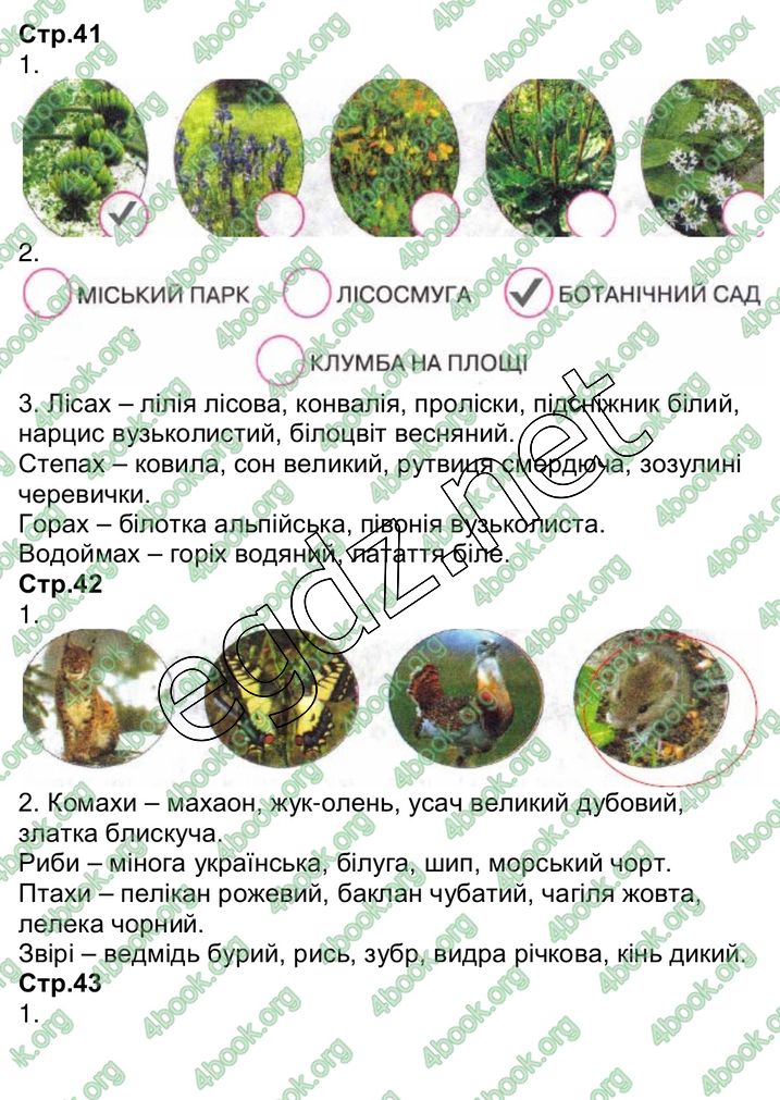 Сторінка 18 природознавство 3 клас Грущинська 2013