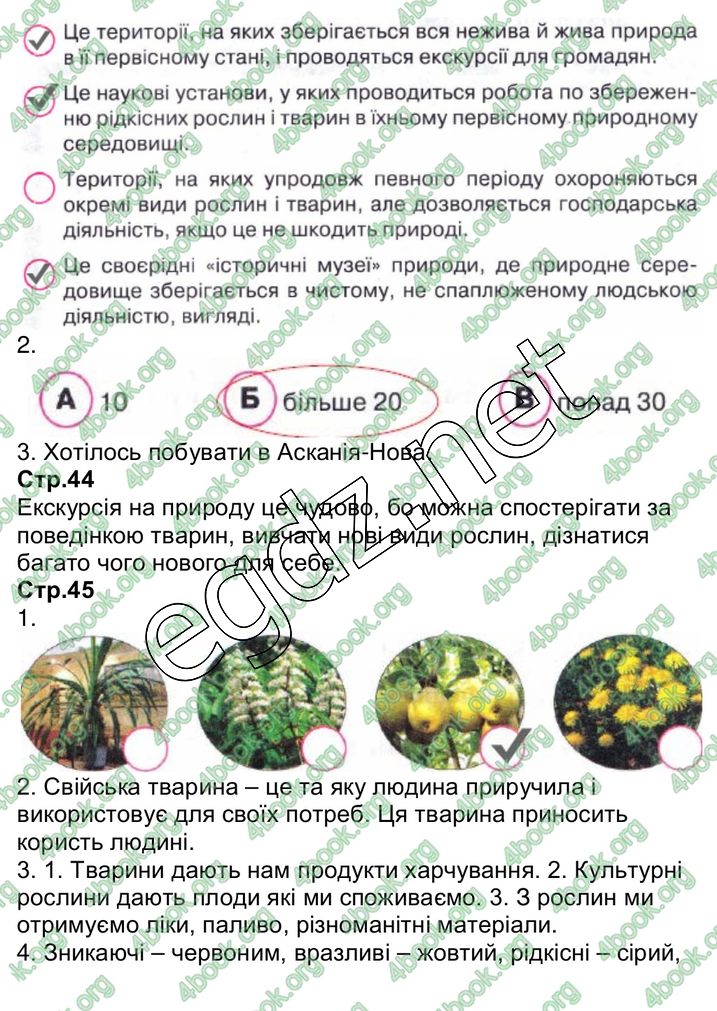 Сторінка 19 природознавство 3 клас Грущинська 2013