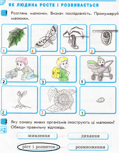 Сторінка 6 я у світі 3 клас Тагліна 2015