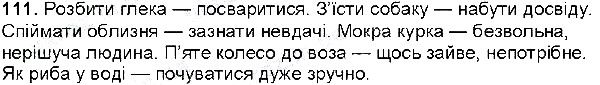 Вправа 111 українська мова 6 клас Глазова 2014