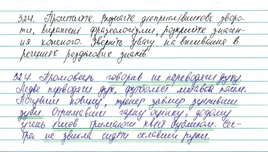 Вправа 324 українська мова 7 клас Глазова 2015