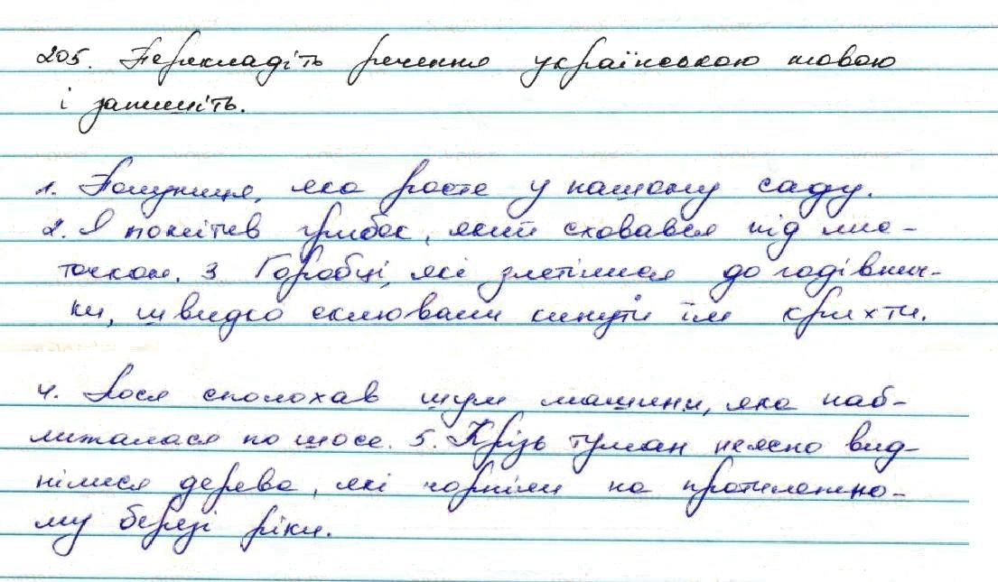 Вправа 205 українська мова 7 клас Заболотний 2015