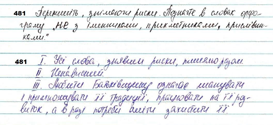 Вправа 481 українська мова 7 клас Глазова 2020