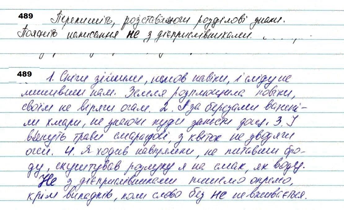 Вправа 489 українська мова 7 клас Глазова 2020